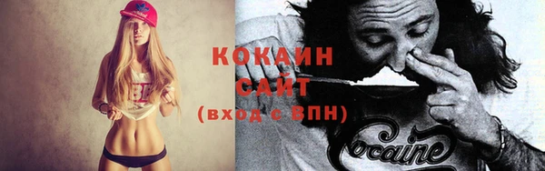 шишки Наволоки