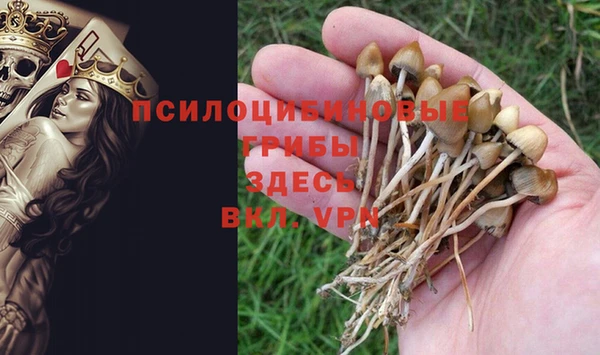 ECSTASY Надым