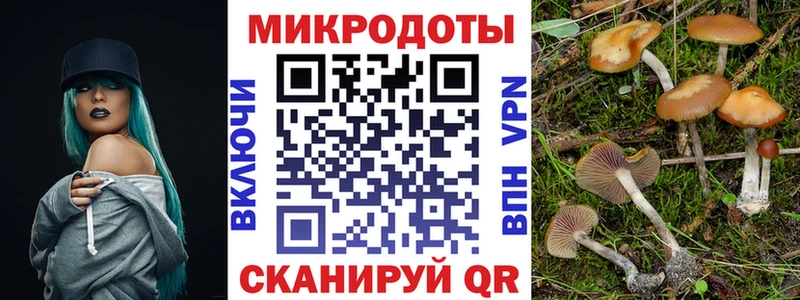 МЕГА ТОР  Ржев  Псилоцибиновые грибы Psilocybine cubensis 